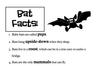 Preview of Bat Facts (Fill in the Blank + Answer Key)