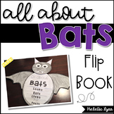 Bat Facts Flip Book and Craft