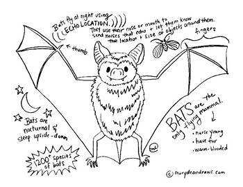 Preview of Bat Facts Printable Science or Animal Study Coloring Page