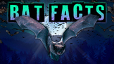 Bat Facts Quiz!