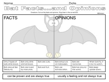 Preview of Bat Facts and Opinions