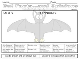 Bat Facts and Opinions