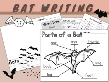 Preview of Bat Informative Writing  | Have Can Are | Label | Life Cycle | Prompt Nocturnal