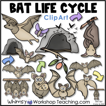 Preview of Bat Life Clip Art Set  Whimsy Workshop Teaching