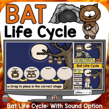 Preview of Halloween Science Activities Bat Life Cycle Digital Boom Cards