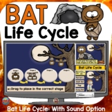 Halloween Science Activities Bat Life Cycle Digital Boom Cards