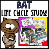 Bat Life Cycle | Centers, Activities and Worksheets | Fall