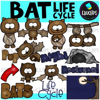 Preview of Bat Life Cycle Clip Art Set {Educlips Clipart}