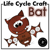 Bat Life Cycle Craft Activity