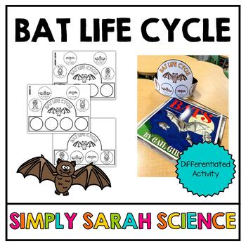 Preview of Bat Life Cycle Crown