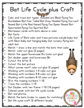 Bat Life Cycle Printable by Preschool Printable | TpT