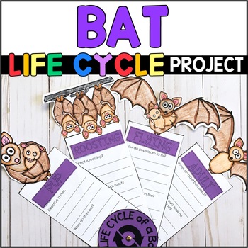 Preview of Bat Life Cycle Project - Bat Craft - Bat Research