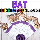 Bat Life Cycle Project - Bat Craft - Bat Research