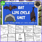 Bat Life Cycle Science Worksheets October PreK Kindergarte