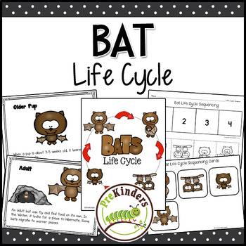 Preview of Bat Life Cycle | Fall Science | Preschool Pre-K