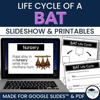 Preview of Bat Life Cycle Slideshow Lesson for Google Slides™ + Printable Activities