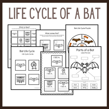 Bat Life Cycle Worksheets by The Homeschool Journey TpT