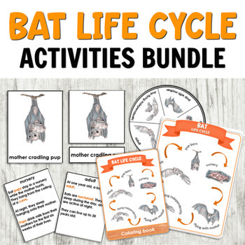 Preview of Bat Life Cycle with 3 Part Cards, Spinner, Poster & More for Hands-on Learning!
