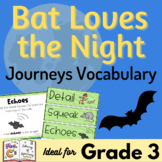 Bat Loves the Night Journeys 3rd Grade Vocabulary Supplement