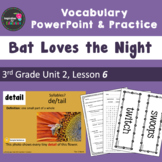 Bat Loves the Night Vocabulary PowerPoint  - Aligned w/ Journeys