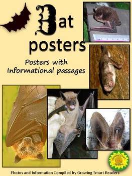 Preview of Bat Posters with Informational Paragraphs