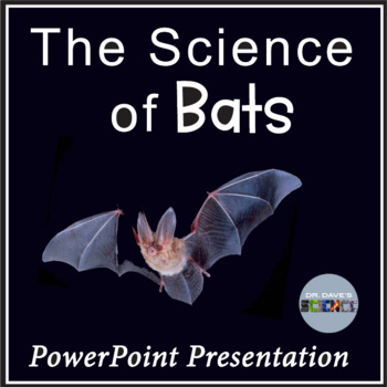 Preview of Bat PowerPoint and the Science of Bats