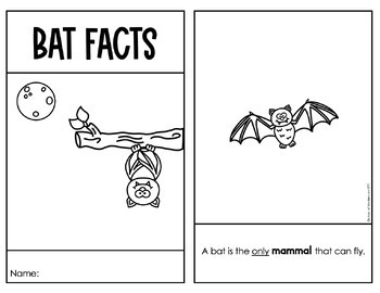 Bat Facts Reader Informational Text Kindergarten & First Science