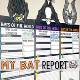 Bat Report Pennant Banners Bat Craft Research Project