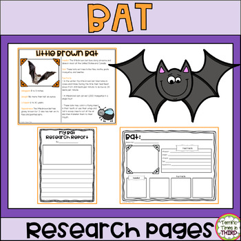 Preview of Bat Research: Informational Reading and Writing Pages