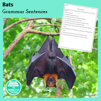 Bat Sentences for Grammar Practice by The Productive Teacher | TpT