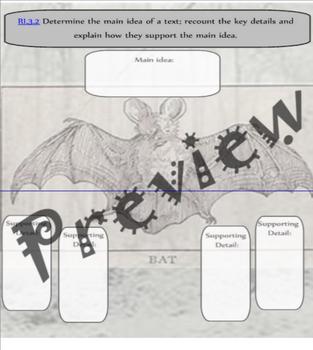 Preview of Bat Themed Main idea and Detail Graphic Organizer