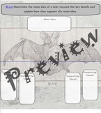 Bat Themed Main idea and Detail Graphic Organizer