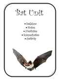 Bat Unit Stellaluna Bats Fiction and Nonfiction