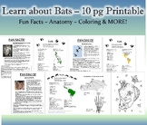 Fall Unit Study, Fun Facts about bats, comparing species a