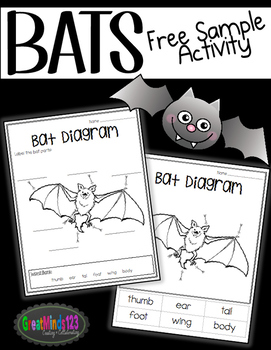 Preview of Bat Informational Unit FREEBIE
