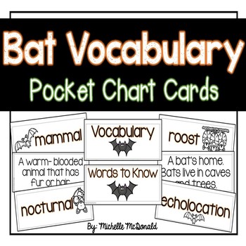 Preview of Bat Vocabulary Cards: Pocket Chart Terms