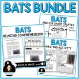 Bat Week Activities BUNDLE
