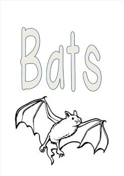 Preview of Bats!