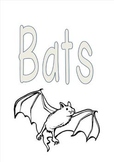 Bats!