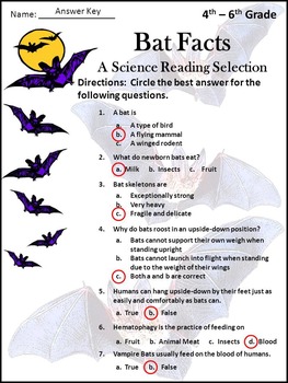 Bats Activities: Bat Facts Halloween Science Activity 4th-6th Grade Bundle
