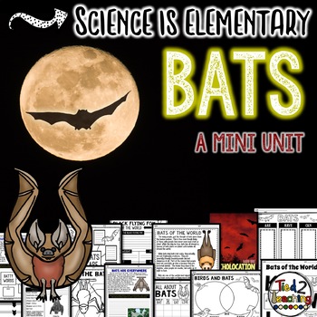 Preview of Bats Activities Mini Unit All about Bats