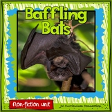 Bats! Non-fiction Unit 1st and 2nd Grade