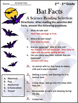 grade worksheet 10 math Bat Science Bats Halloween Activity Activities: Facts