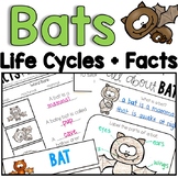 Bats - Bat Life Cycles, Facts and Writing