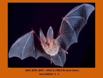 Preview of Bats. Bats, Bats