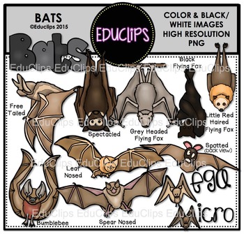 Preview of Bats Clip Art Bundle {Educlips Clipart}