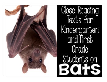 Preview of Bats: Close Reading Passages and Interactive Books