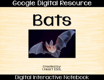 Preview of Bats Digital Activities Paperless Google Drive Resource