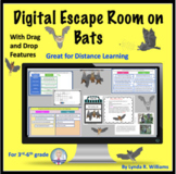 Bats Digital Escape Room