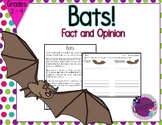 All About Bats - Fact and Opinion